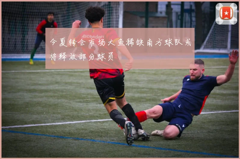 今夏转会市场大鱼稀缺南方球队或将释放部分球员
